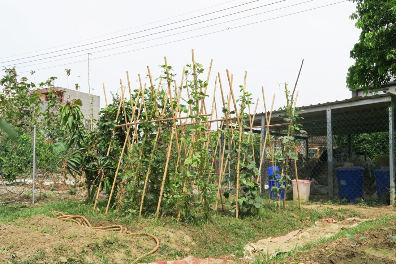 嘉義泊岸居民宿 Lucao Exterior photo
